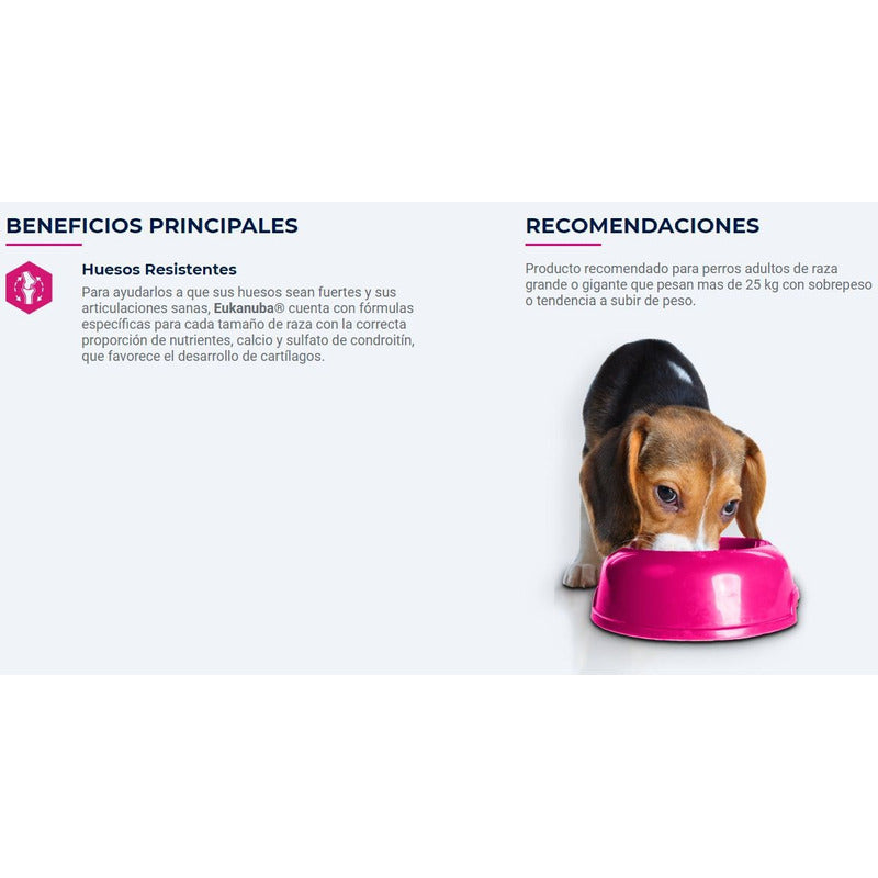 Eukanuba Weight Control Large Breed 15kg con Regalo MundoCanino