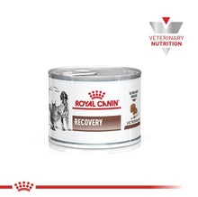 Cargar imagen en el visor de la galería, Royal Canin Pate Recovery 195g