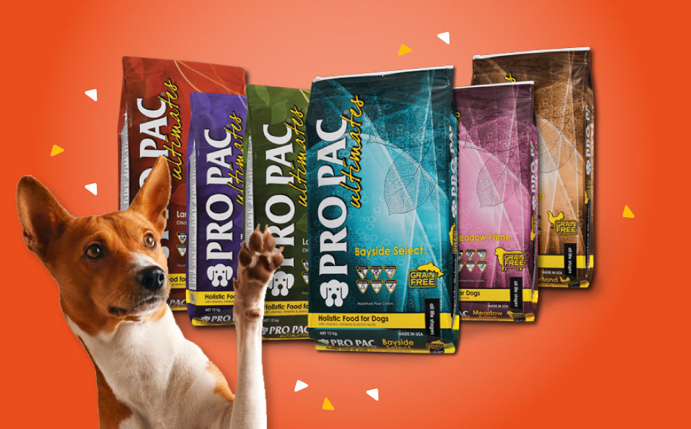 Pro Pac – MundoCanino