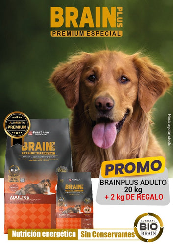 Promo Brain Plus Premium Adulto 20+2kg Con Regalo