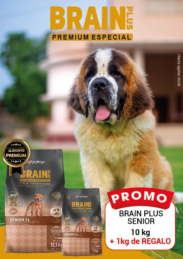 Promo Brain Plus Premium Senior 10+1kg Con Regalo
