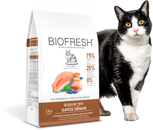Biofresh Super Premium Gato Senior Salmon 7.5Kg Con Regalo