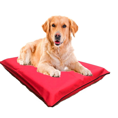 Cama Colchoneta Lavable MundoCanino 80x50cm