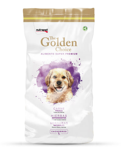 Golden Choice Cachorro 14k Con Regalos