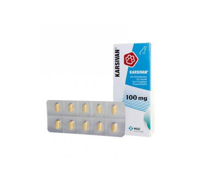 Karsivan Vasodilatador Cerebral y Periférico 10 Comp (Blister)