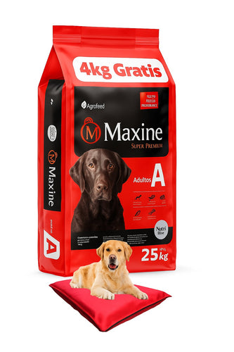 Maxine Adulto 25kg Con Colchoneta