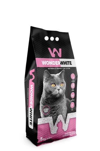 Arena Aglomerante Gato Wonder White 5kg Talco Bebe