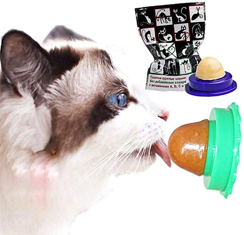 Snacks Golosinas Para Gatos Cat Licking