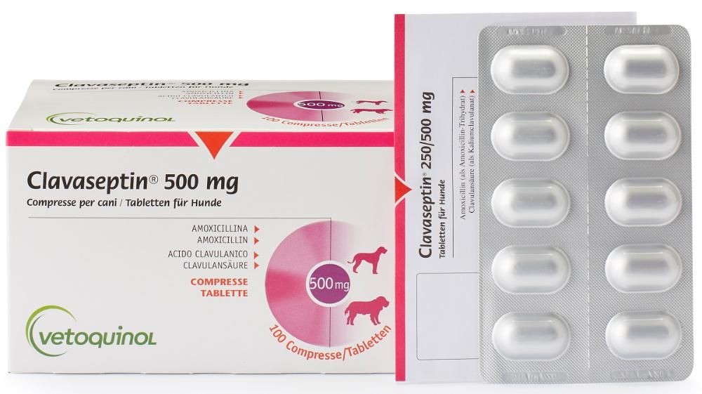 compra de amoxicillin