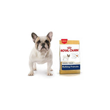 Cargar imagen en el visor de la galería, Royal Canin Bulldog Frances Adulto 3kg + Snacks Premium
