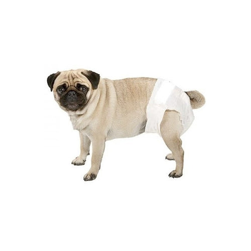 Pañales Para Perros De Cintura Talle S