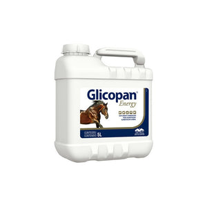 Glicopan Energy 5 Litros Vetnil
