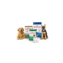 Cargar imagen en el visor de la galería, Royal Canin Mini Adulto 3kg + Snacks Premium