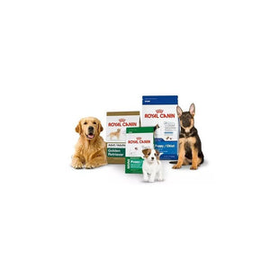 Royal Canin Medium Adulto 3kg Con Regalo