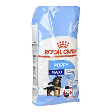 Cargar imagen en el visor de la galería, Royal Canin Maxi Puppy 15kg + Snacks Premium