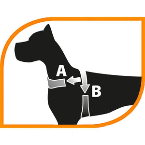 Pretal Arnes Premium Ferplast Sport Dog P