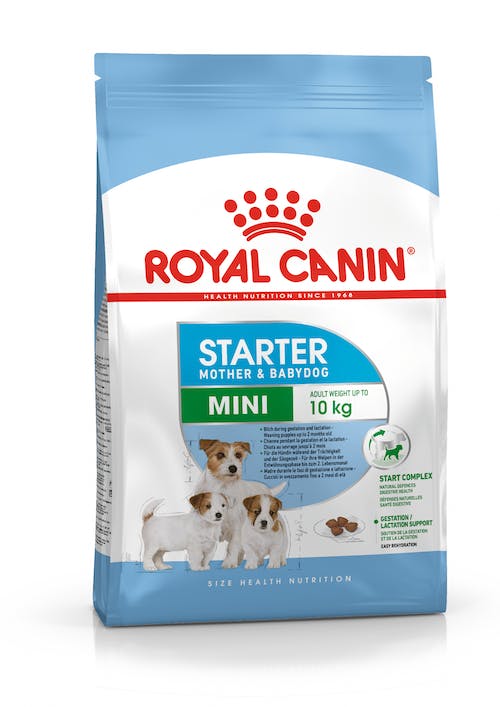 Royal Canin Mini Starter Mother & Baby 1kg Con Regalo