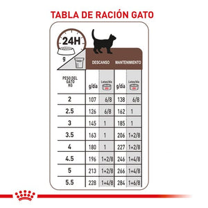 Royal Canin Pate Recovery 195g