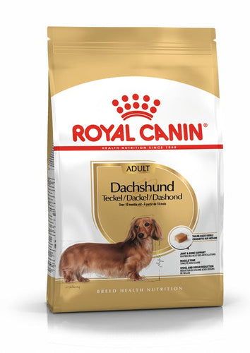 Royal Canin Salchicha Dachshund Adulto 3kg + Snacks Premium